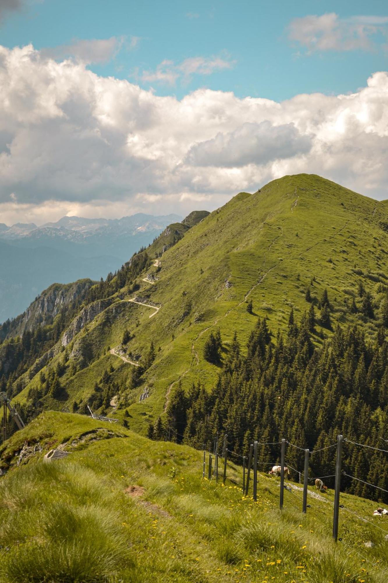 Guesthouse Lajnar Zgornja Sorica Екстериор снимка